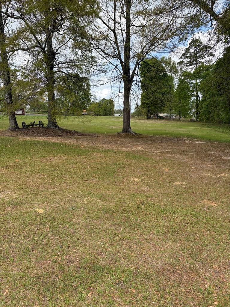 1151 Hwy 123