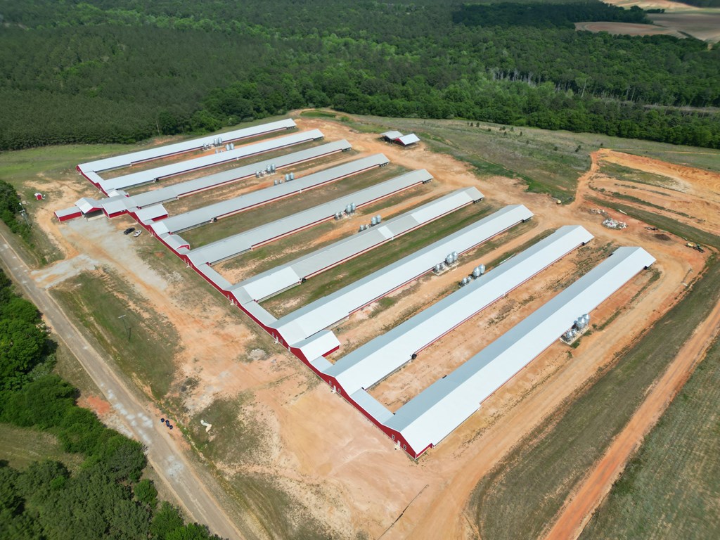1481 County Road 127