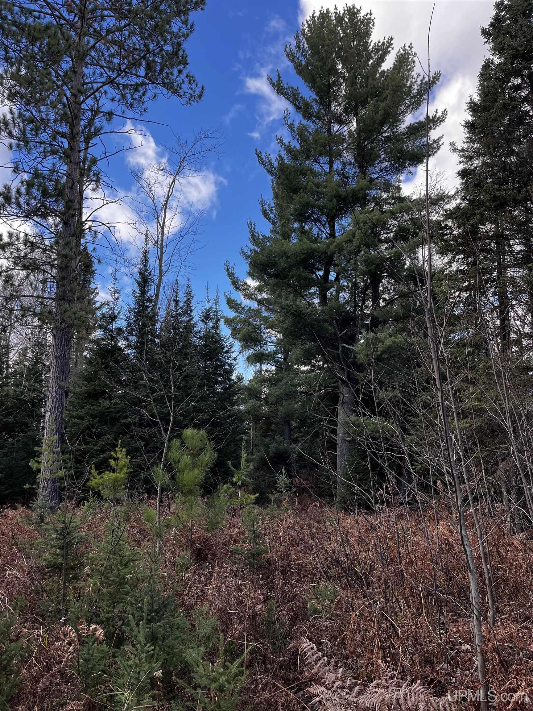 2720 County Road 565 Road