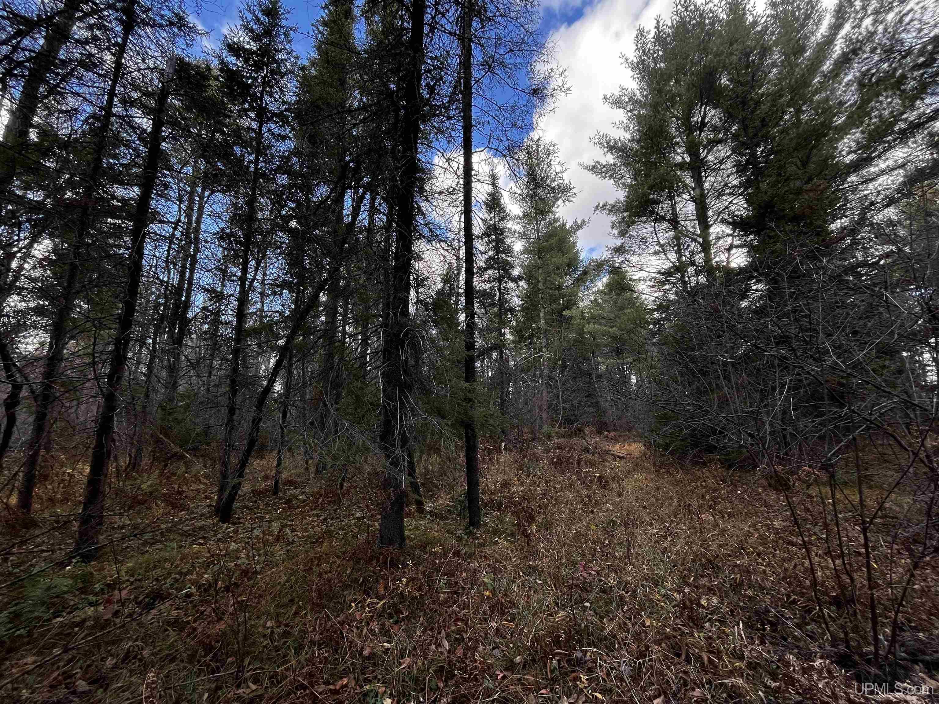 2720 County Road 565 Road
