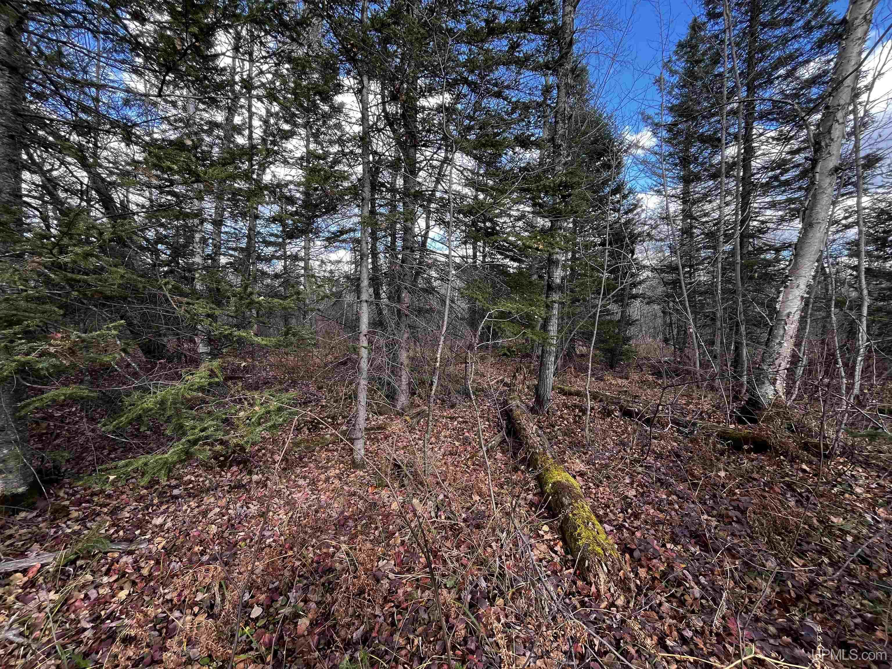 2720 County Road 565 Road