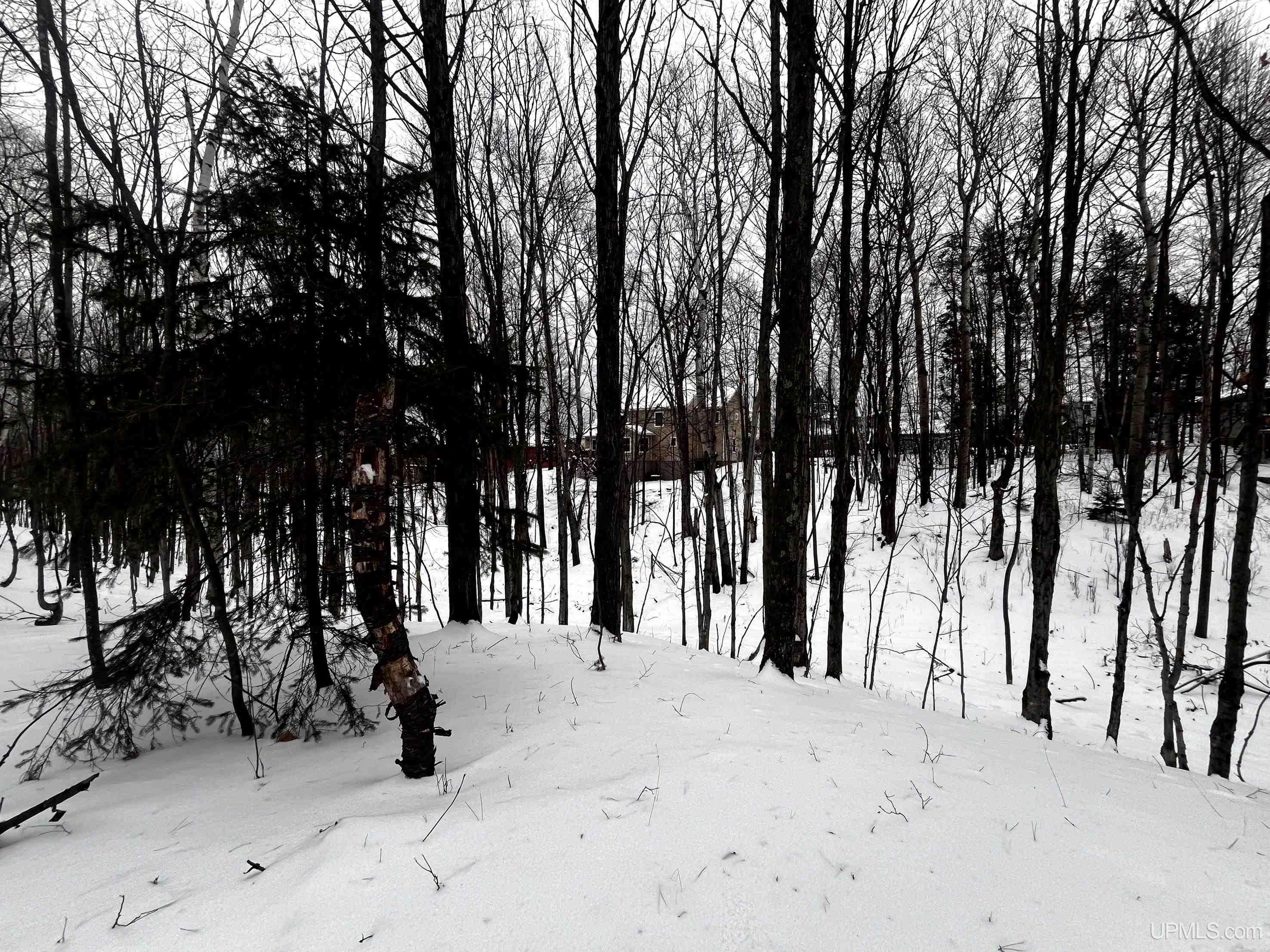 2009 North Creek Drive