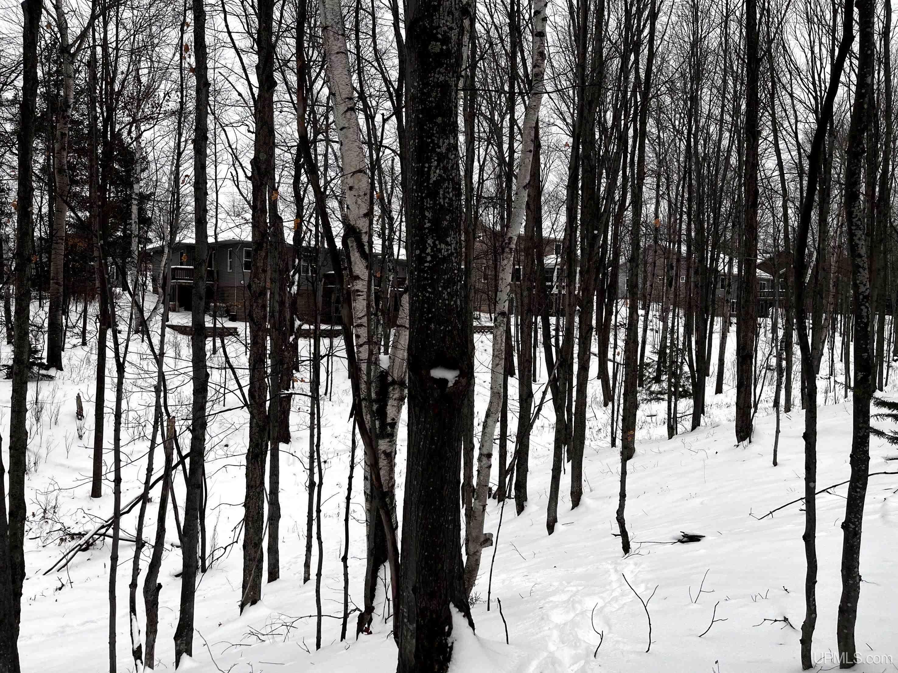 2009 North Creek Drive