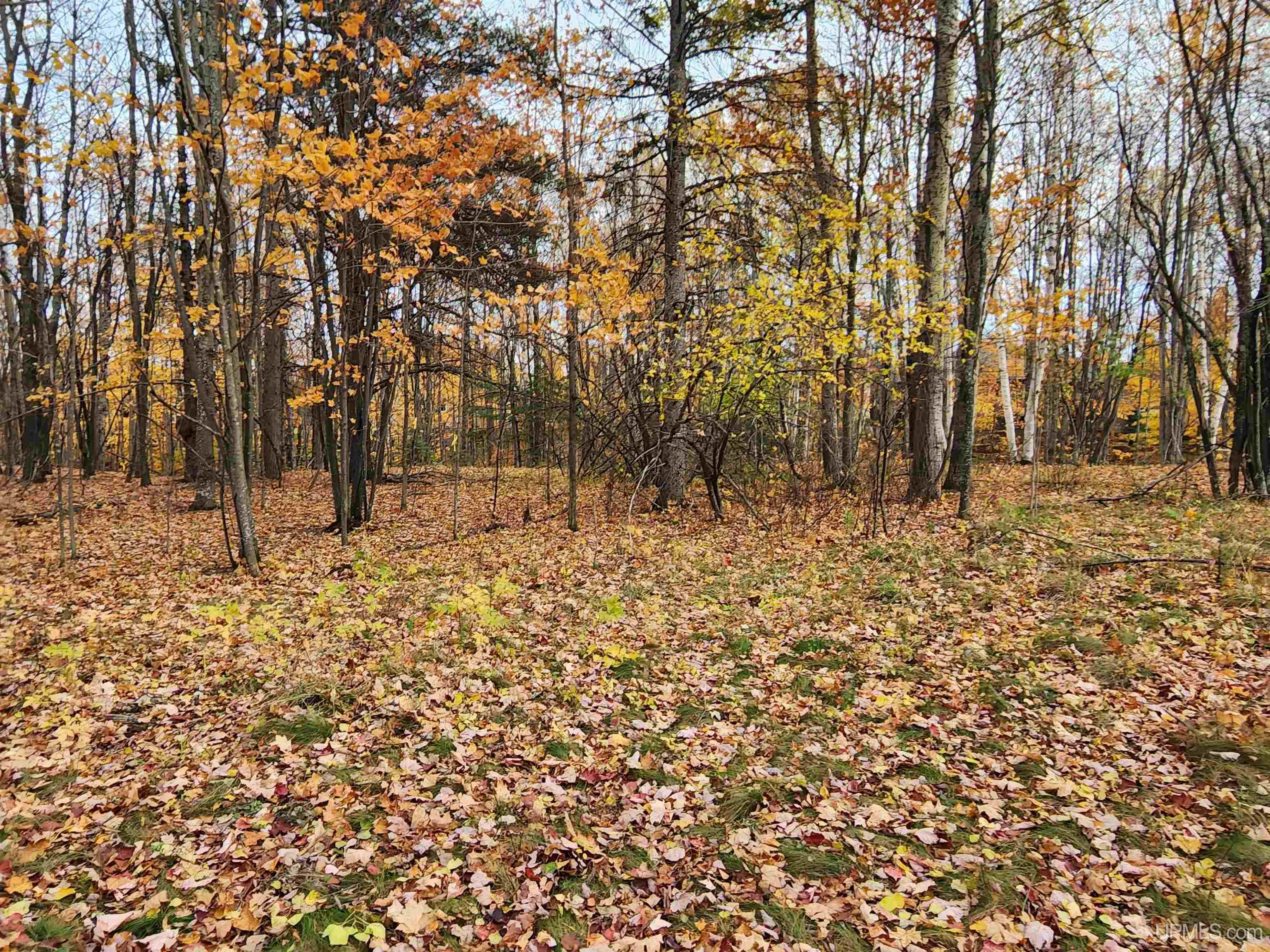 2009 North Creek Drive