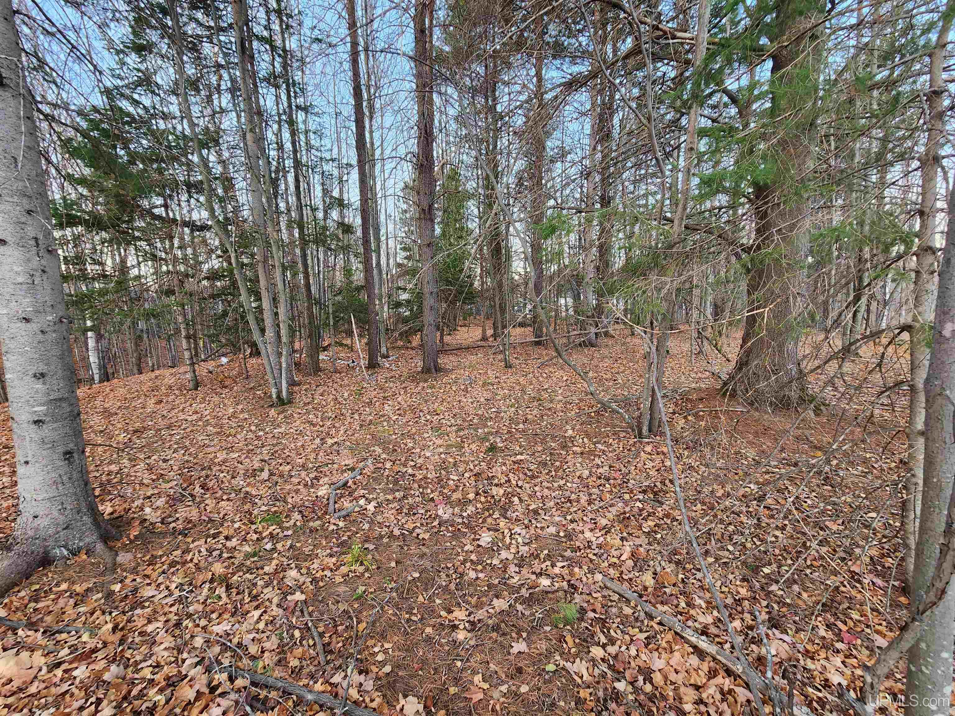 2009 North Creek Drive