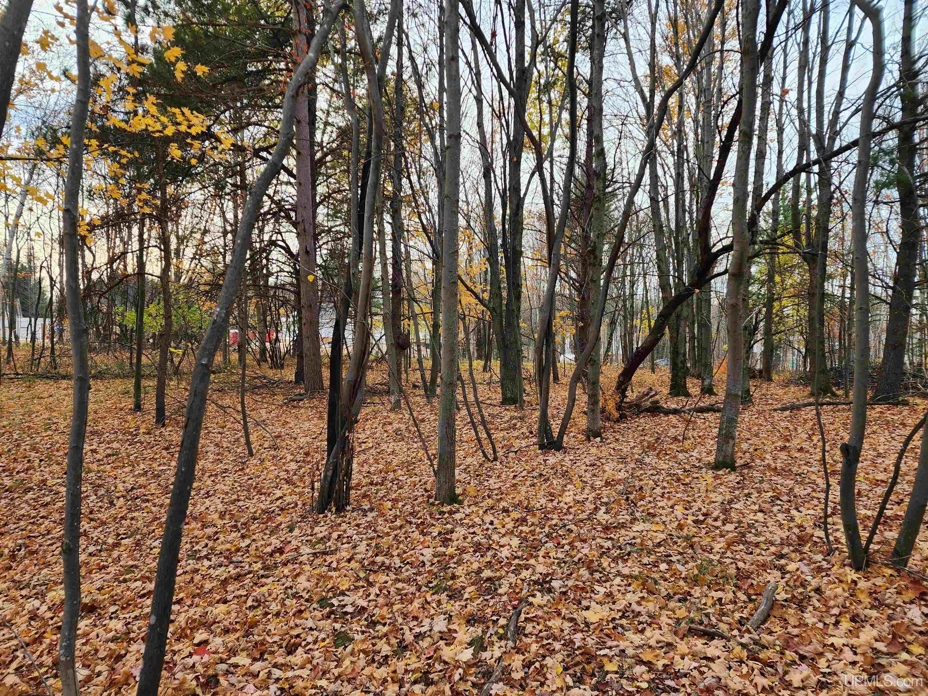 2009 North Creek Drive