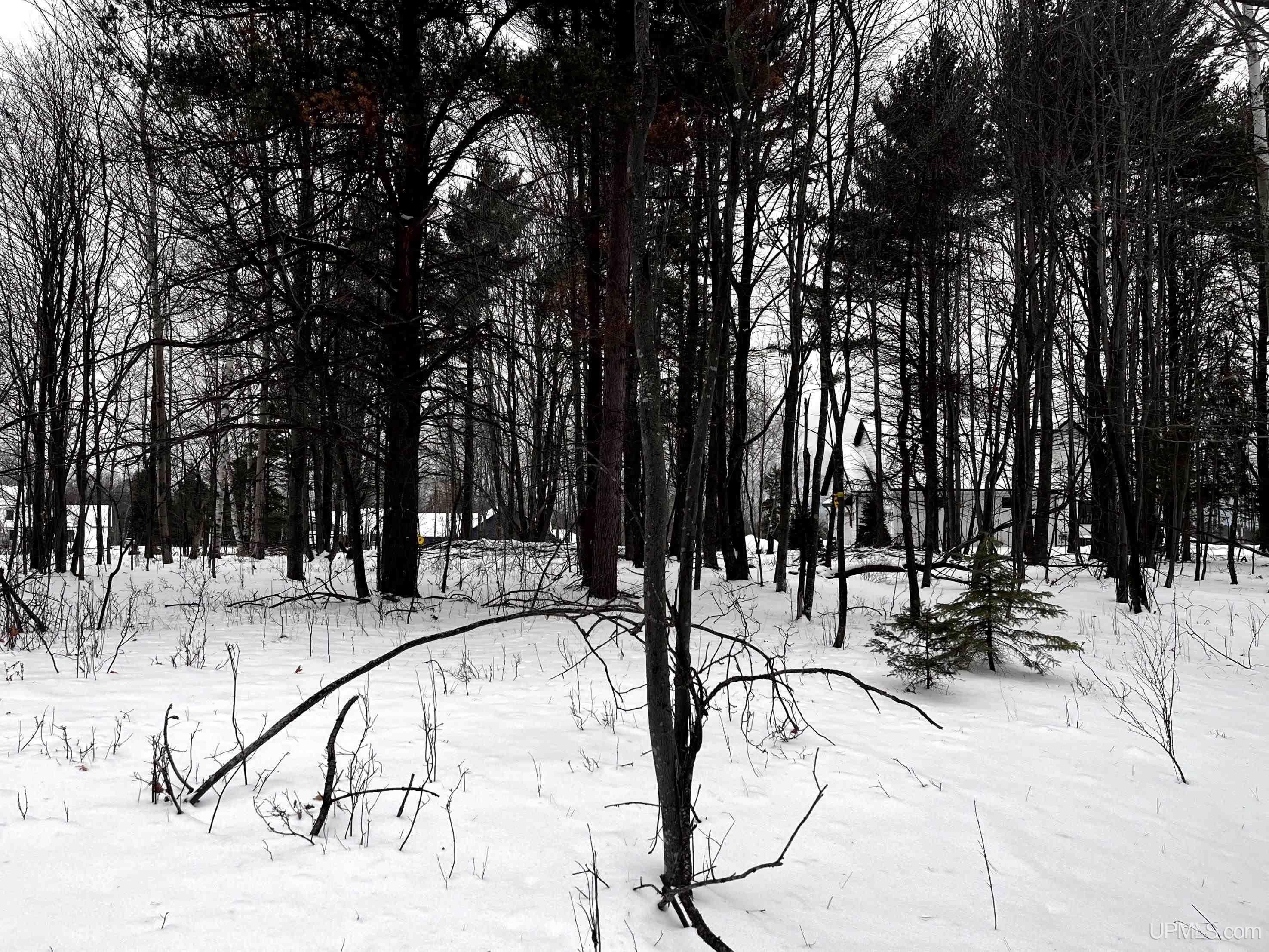 2009 North Creek Drive