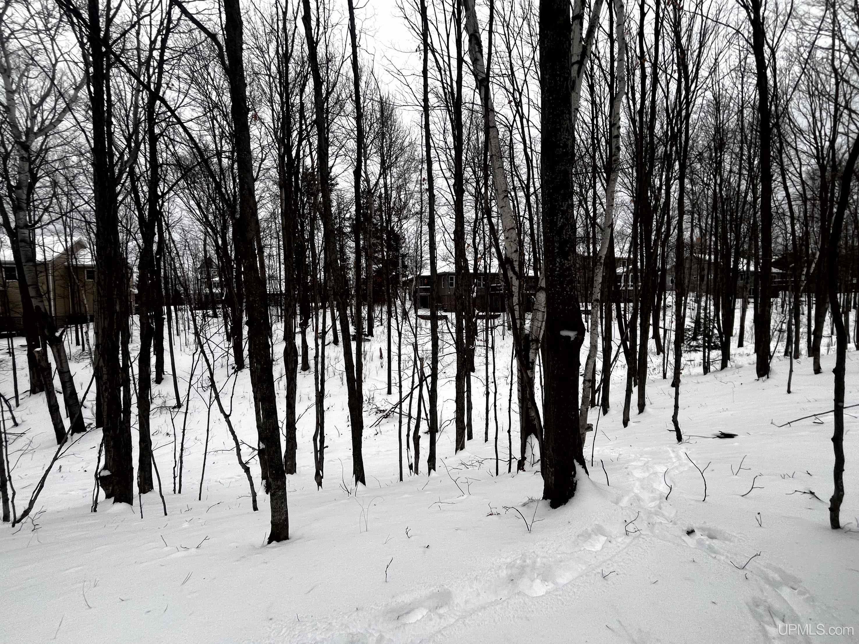 2009 North Creek Drive
