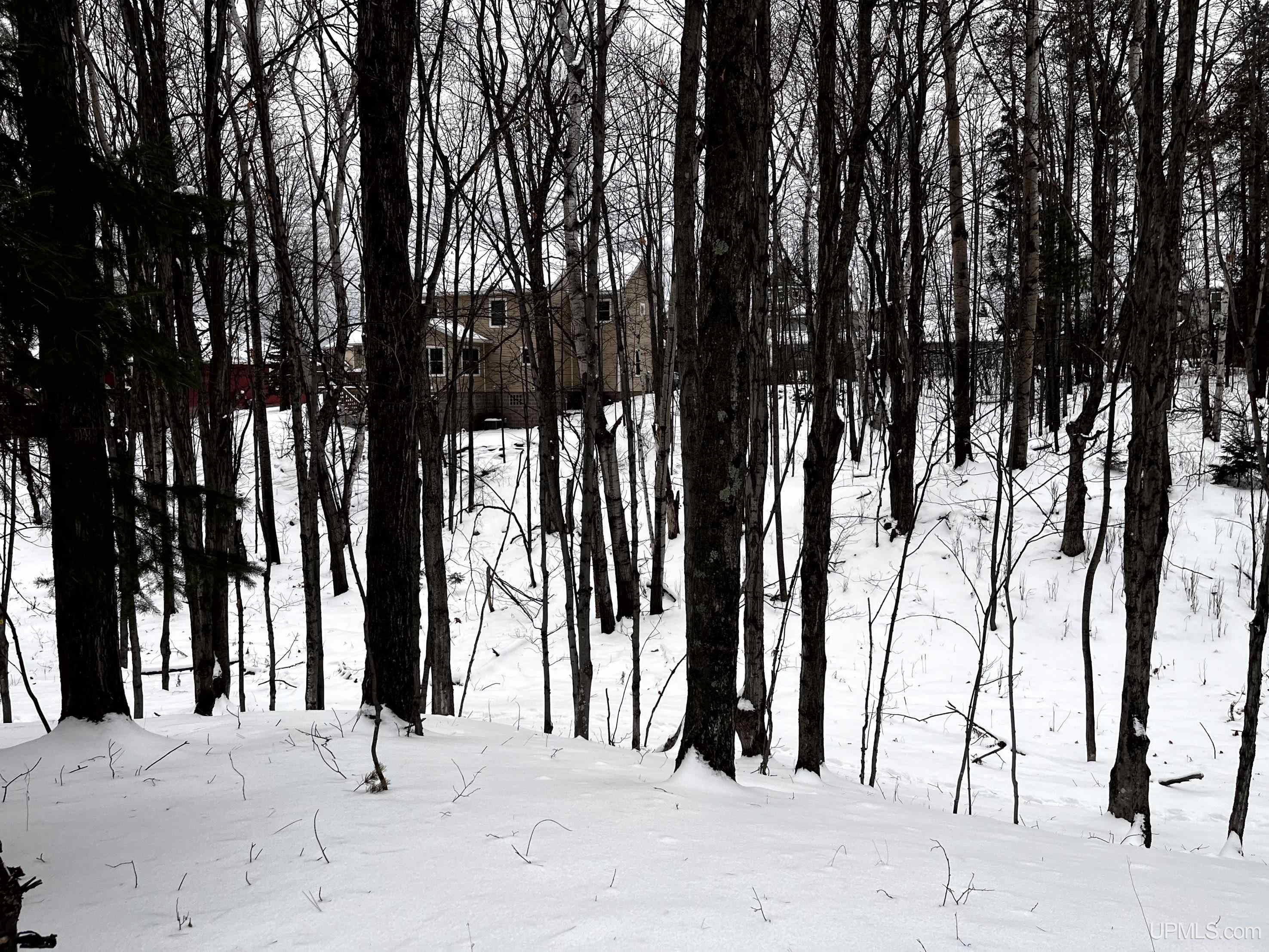 2009 North Creek Drive