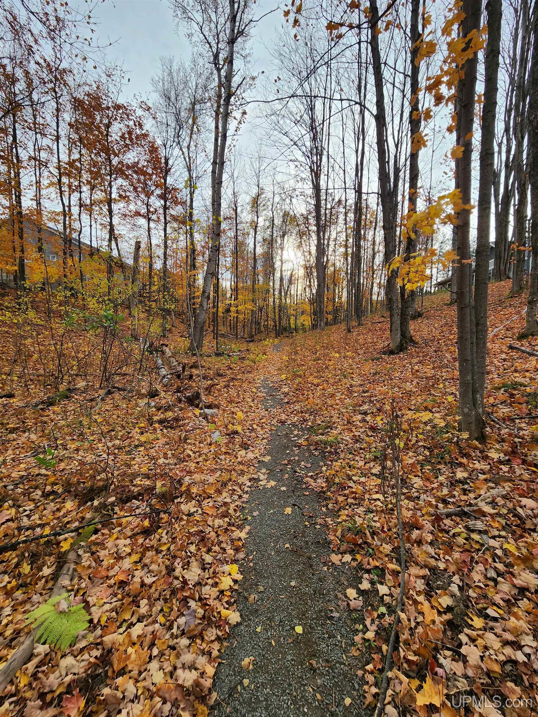 2009 North Creek Drive