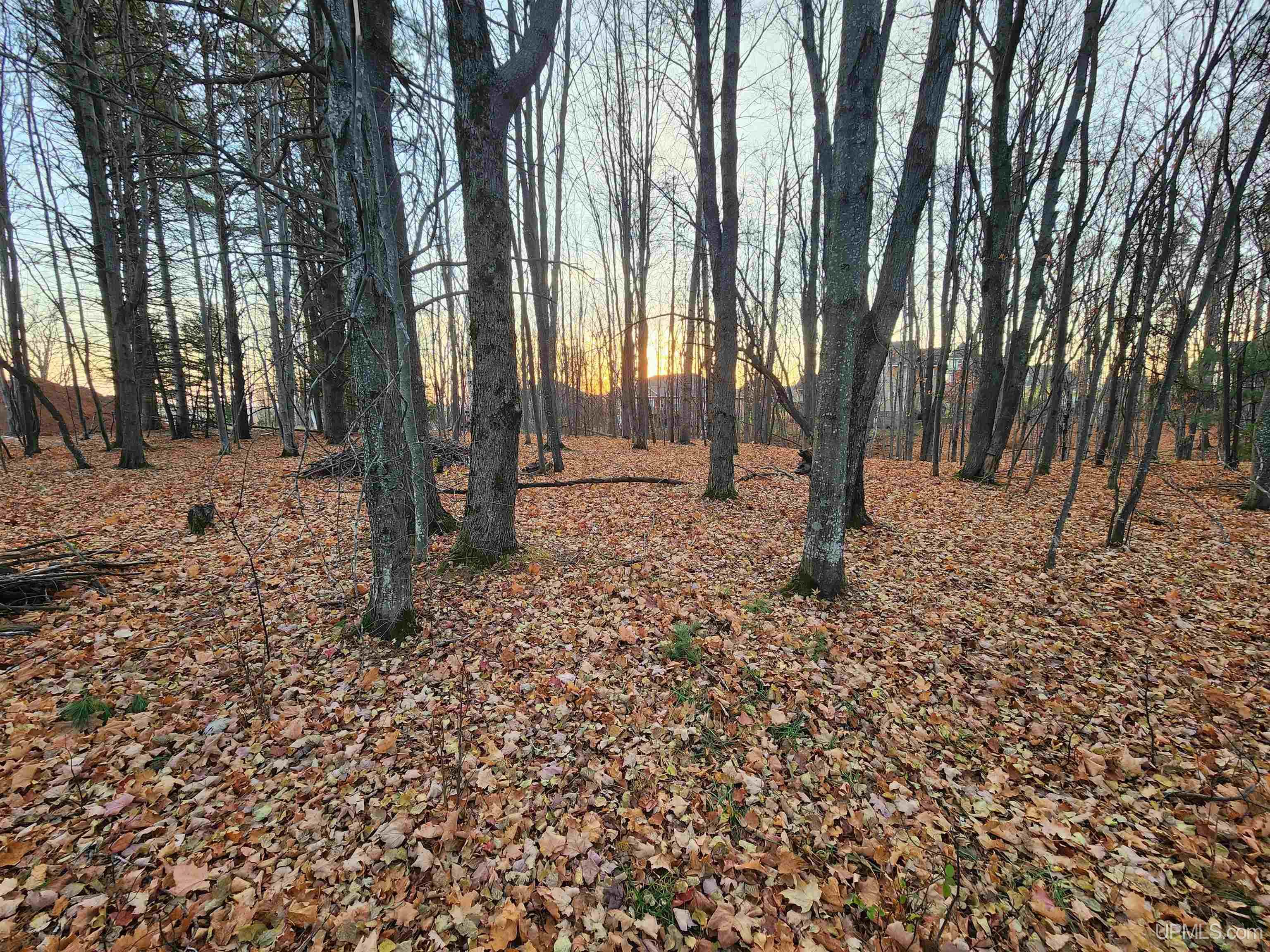 2009 North Creek Drive