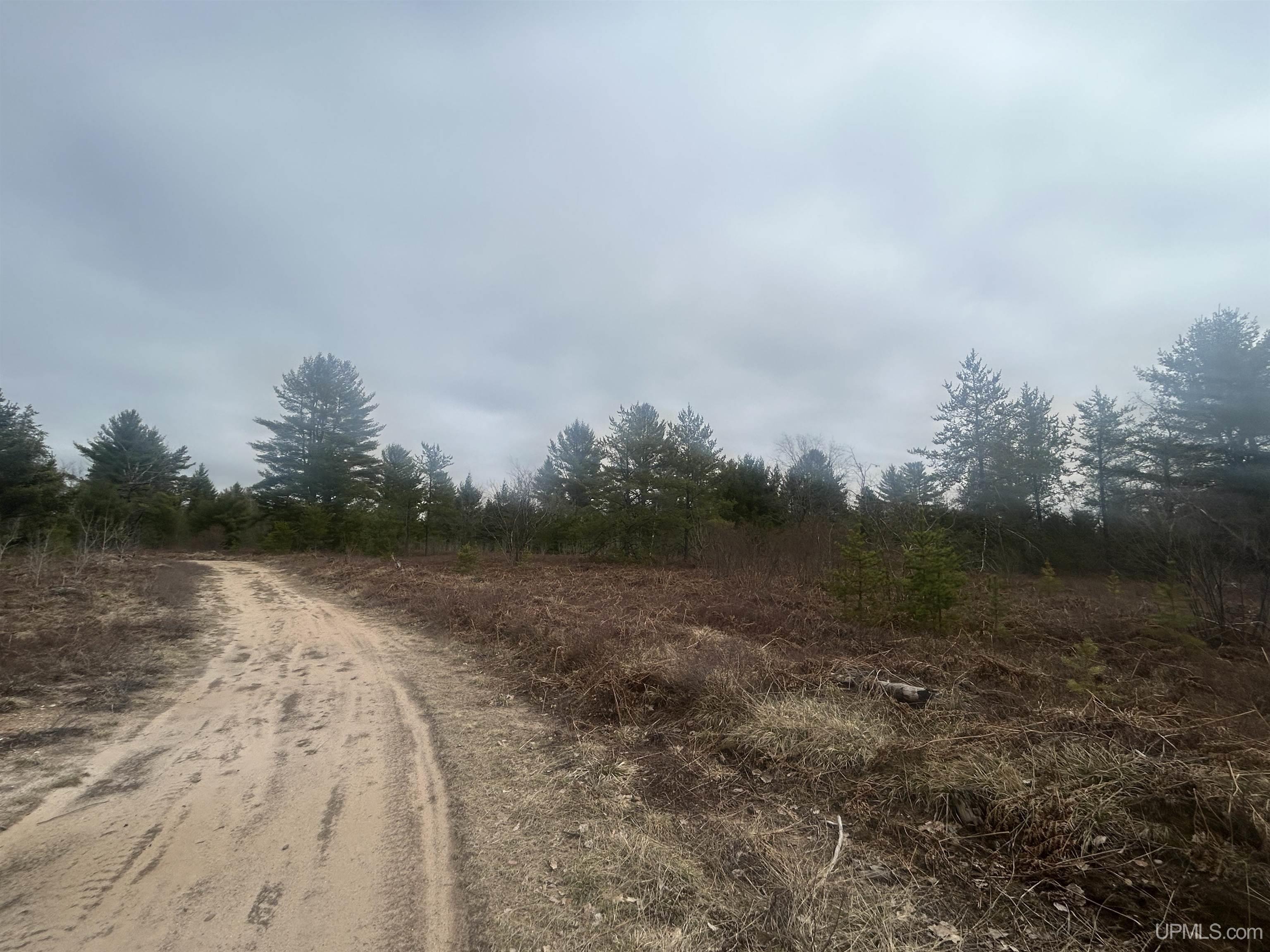 Parcel 2 Off Johnson Lake Road