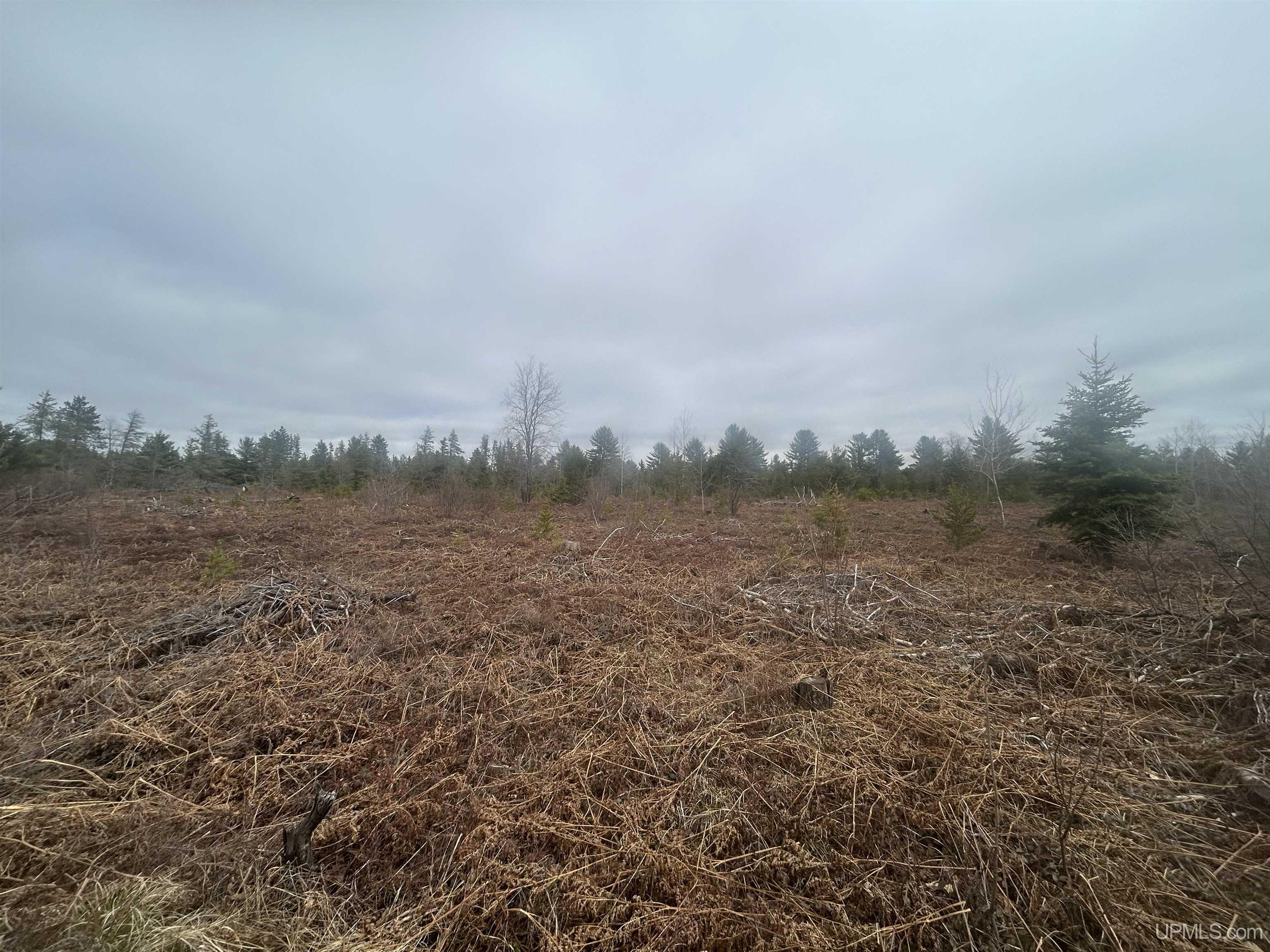 Parcel 2 Off Johnson Lake Road