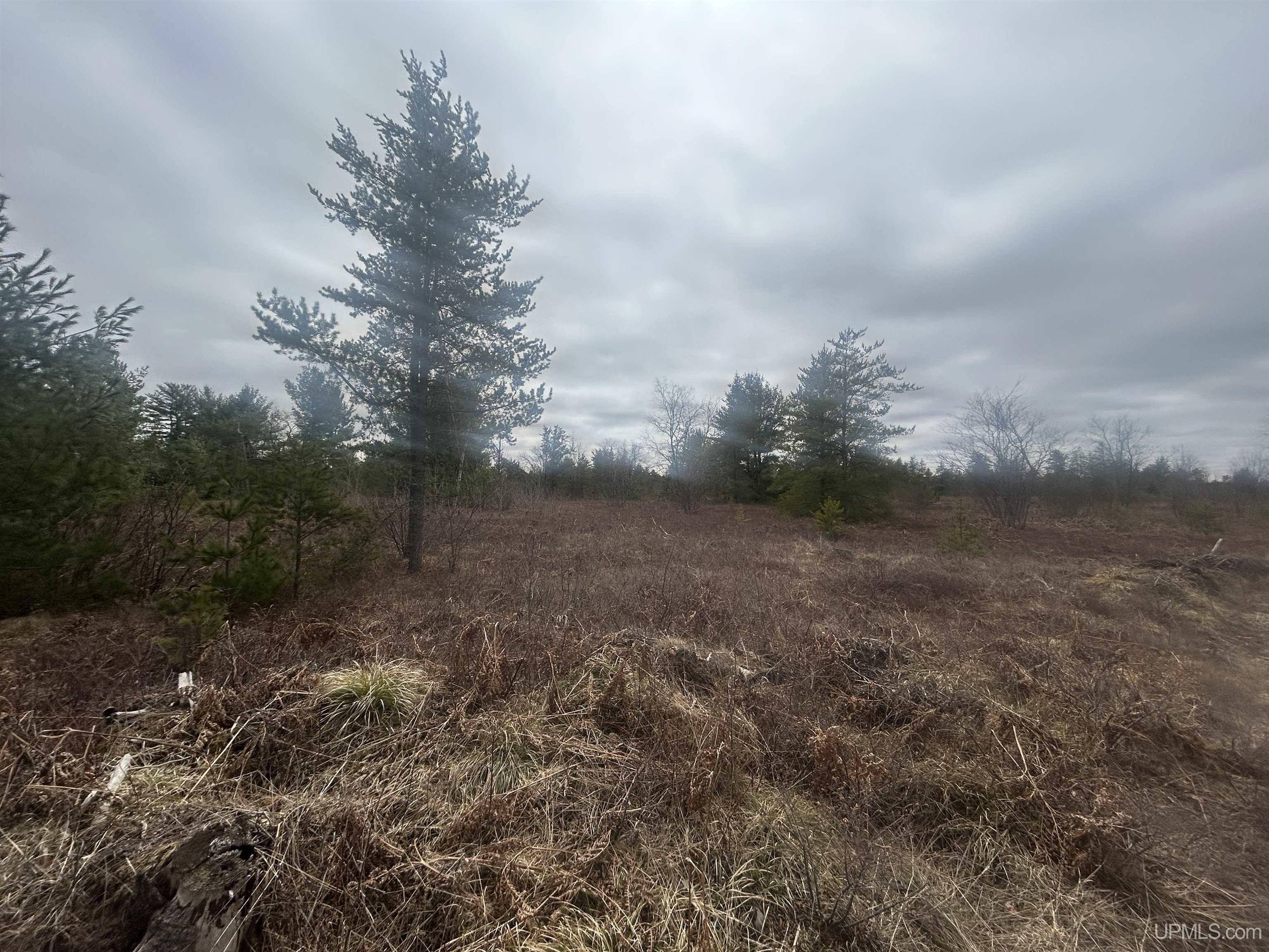 Parcel 2 Off Johnson Lake Road