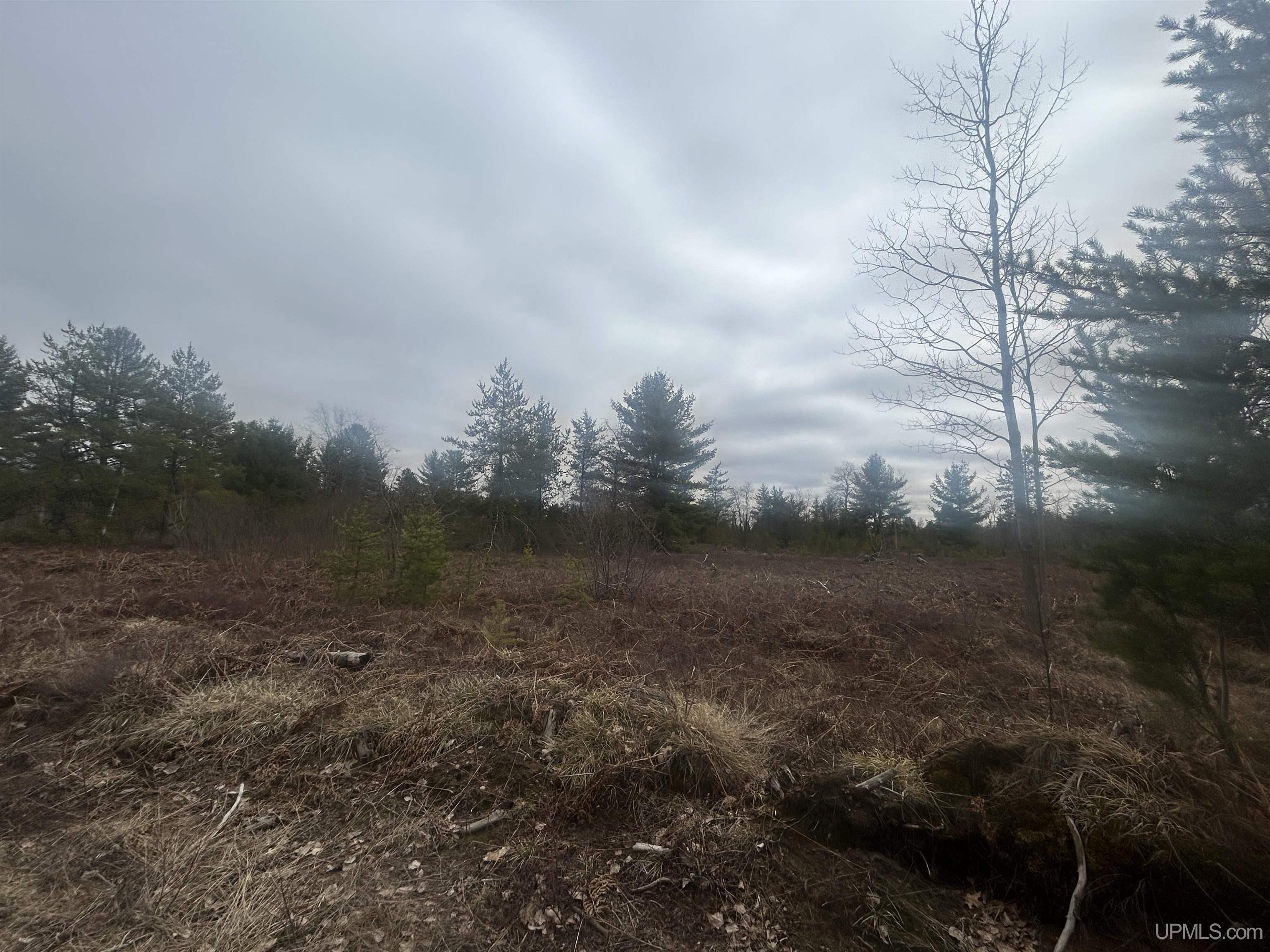 Parcel 2 Off Johnson Lake Road