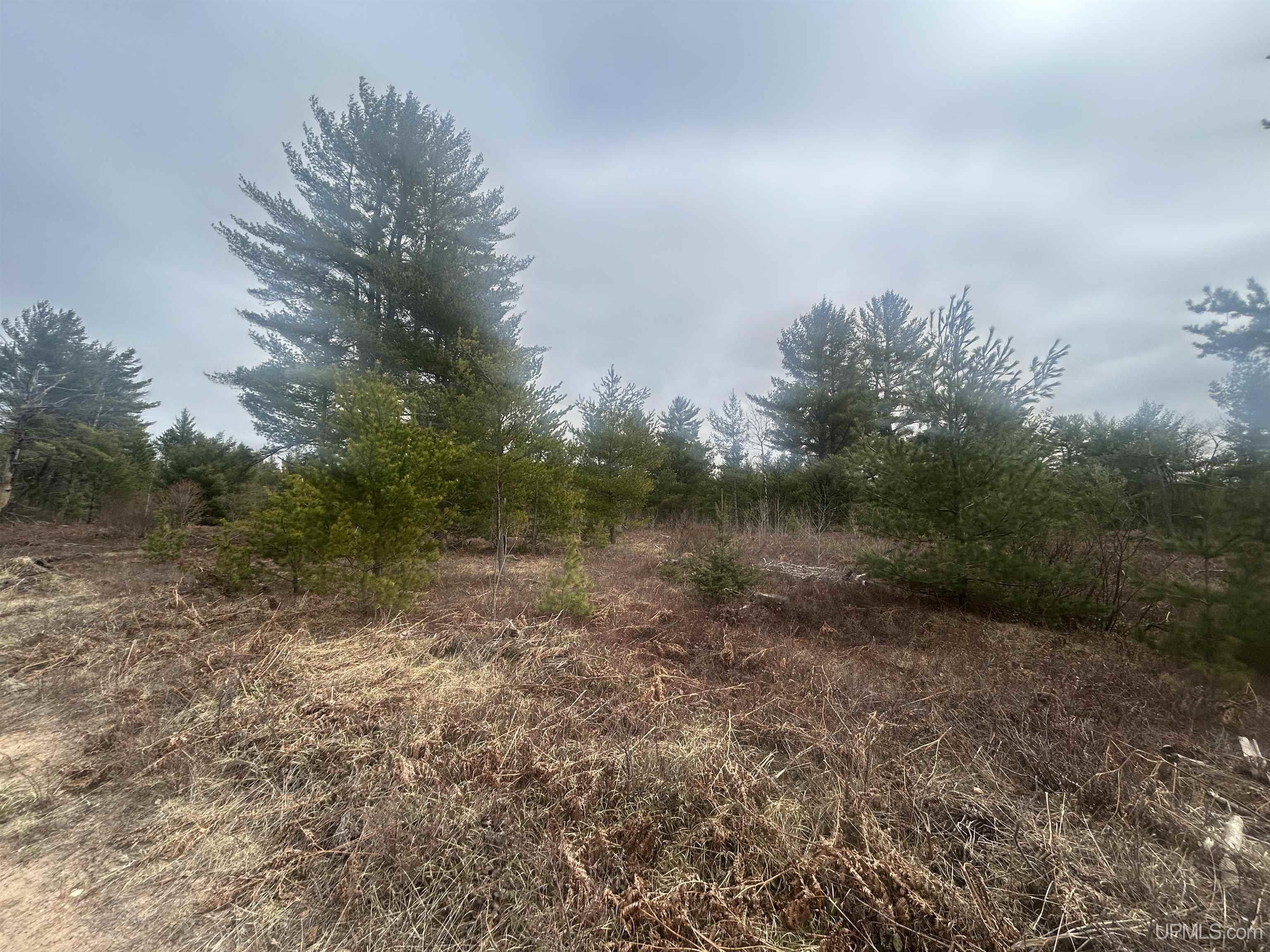 Parcel 2 Off Johnson Lake Road