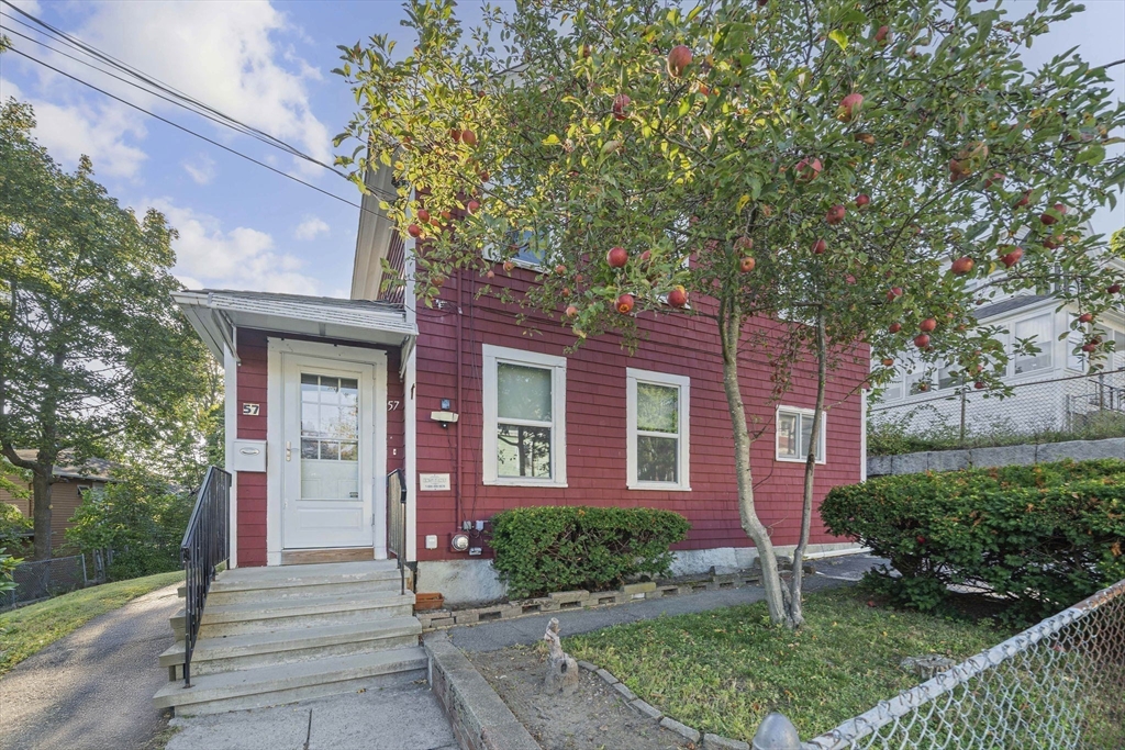 57 Buckley St