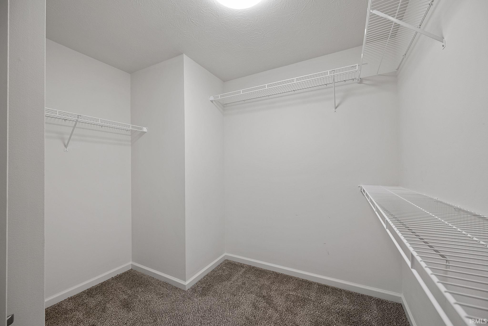 3331 Mcneel Court