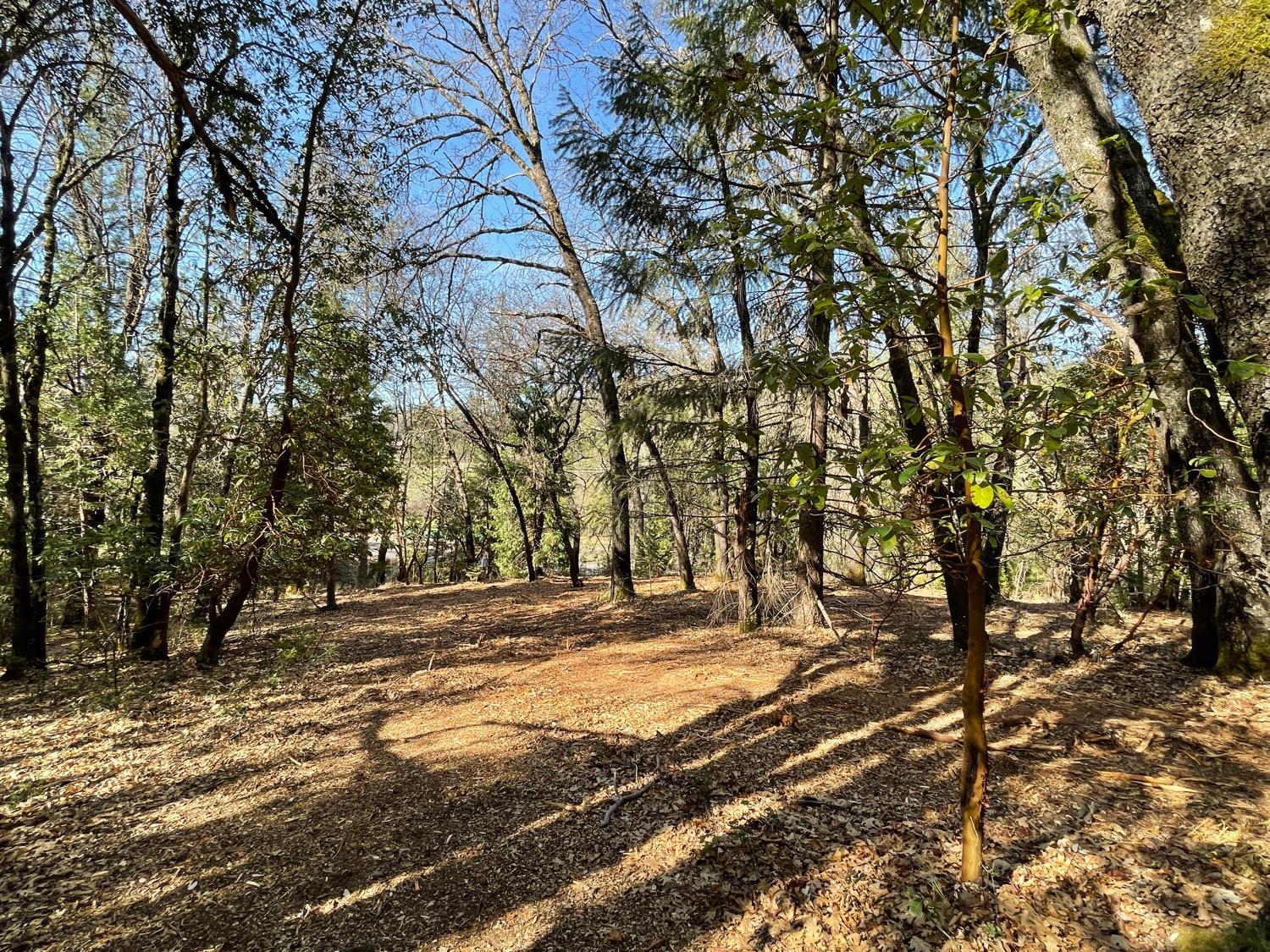 7540 Georgetown Road