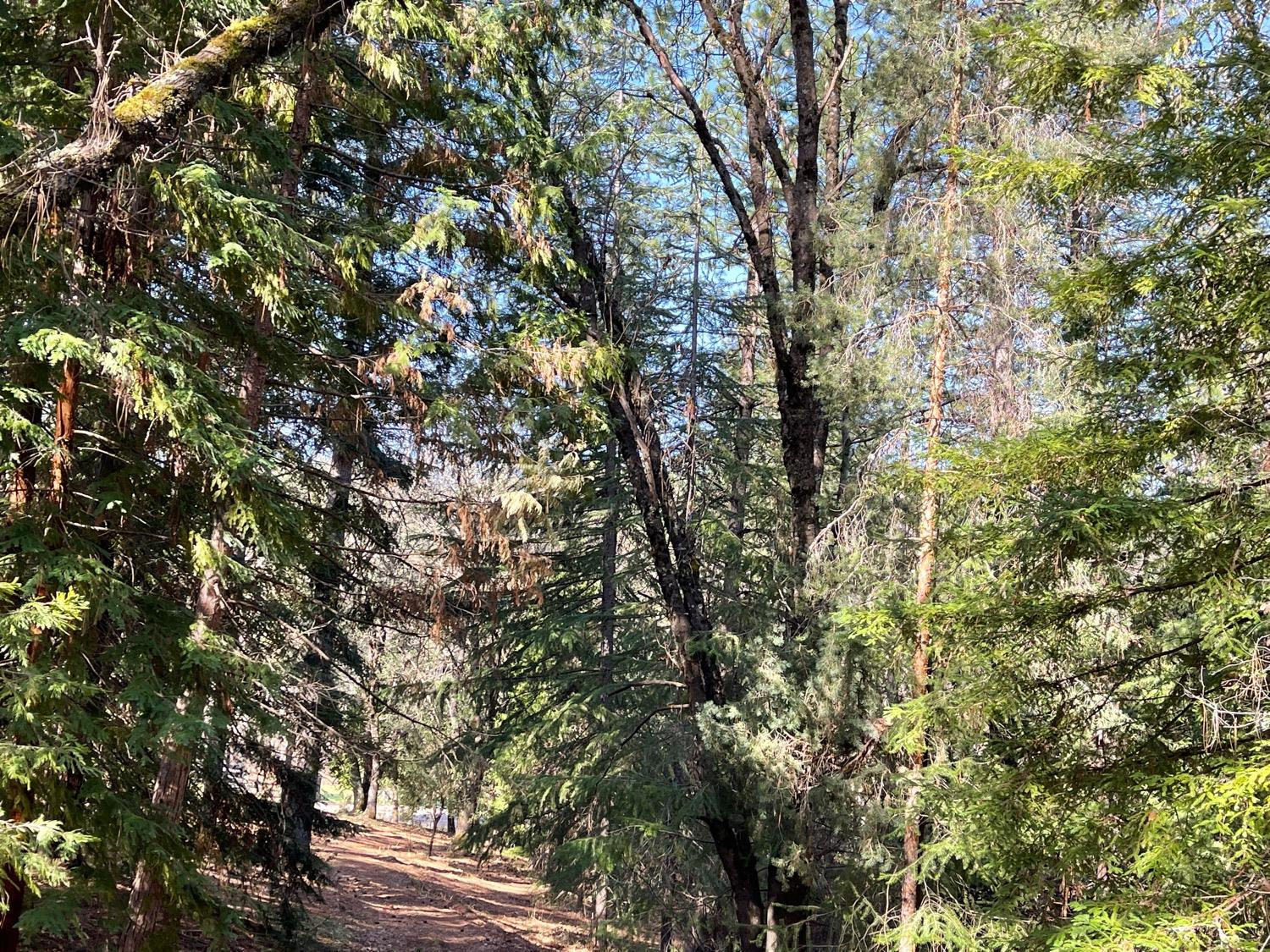 7540 Georgetown Road