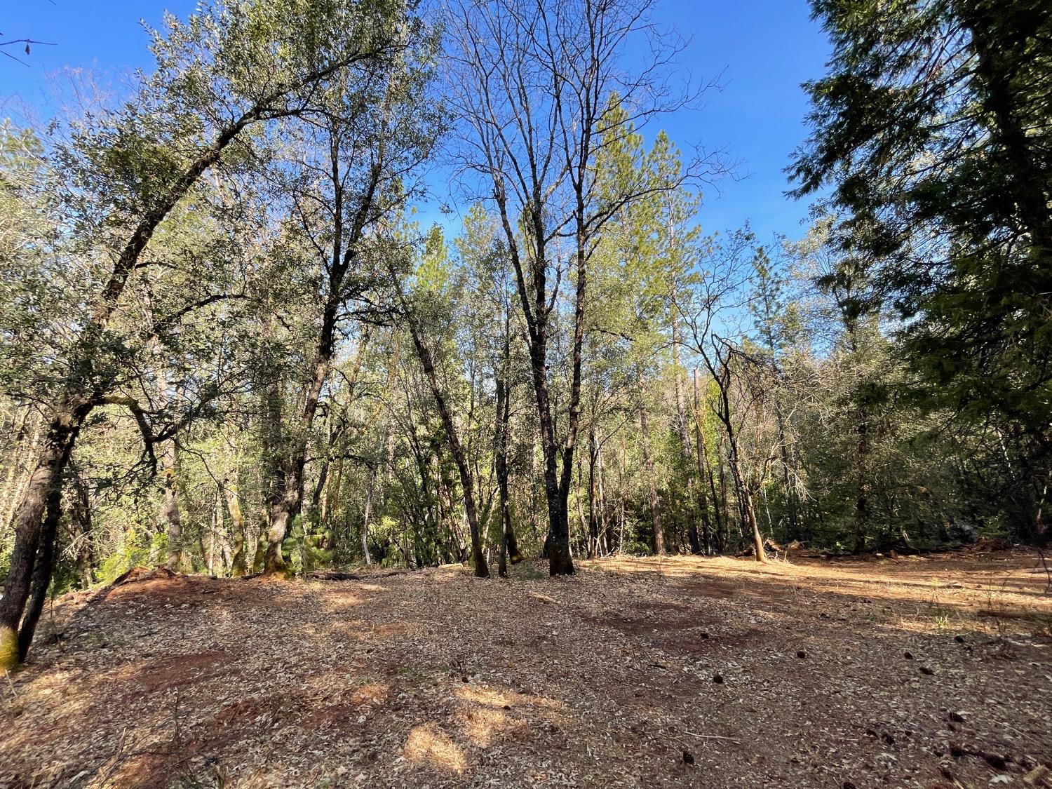 7540 Georgetown Road