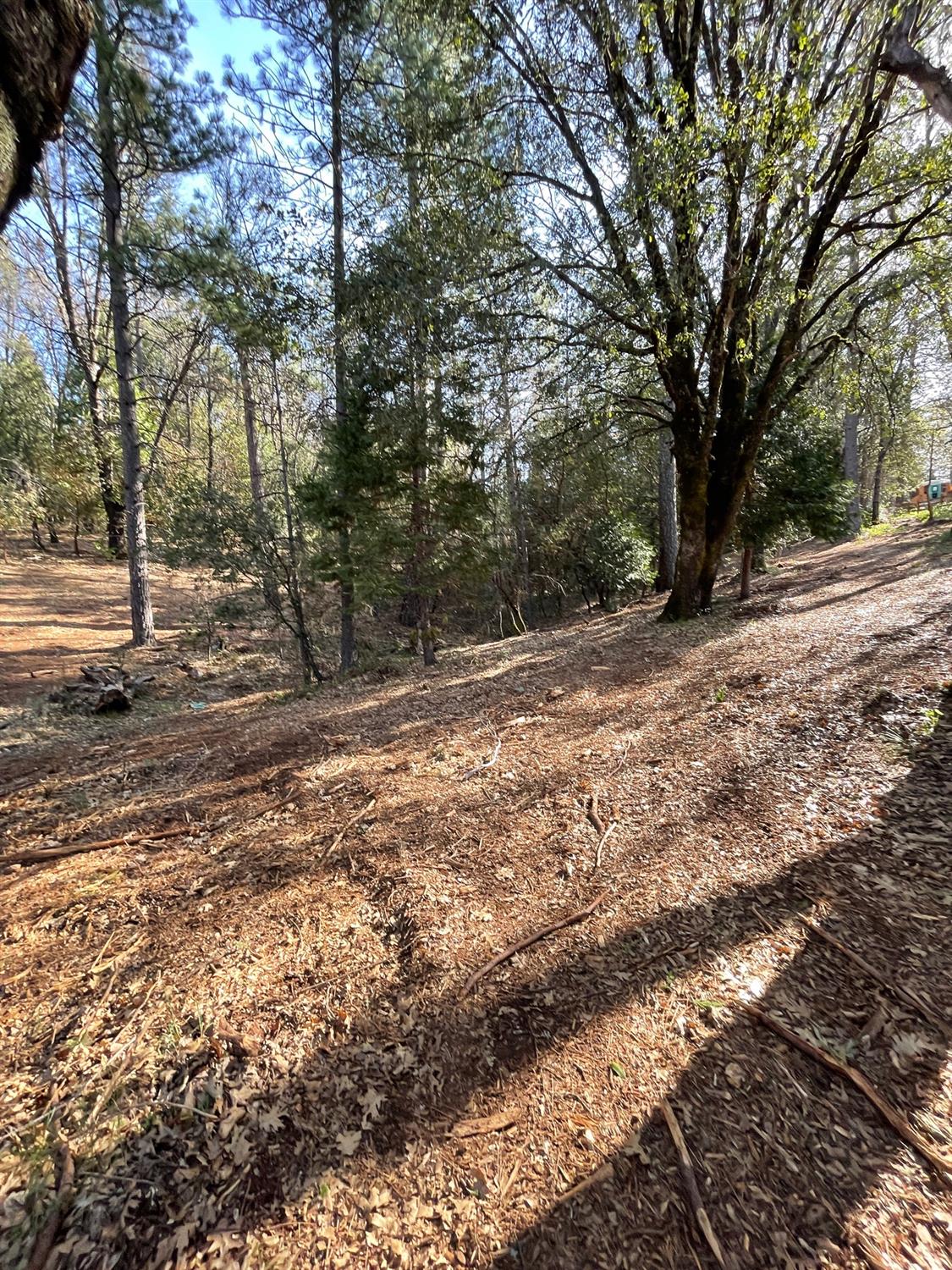 7540 Georgetown Road