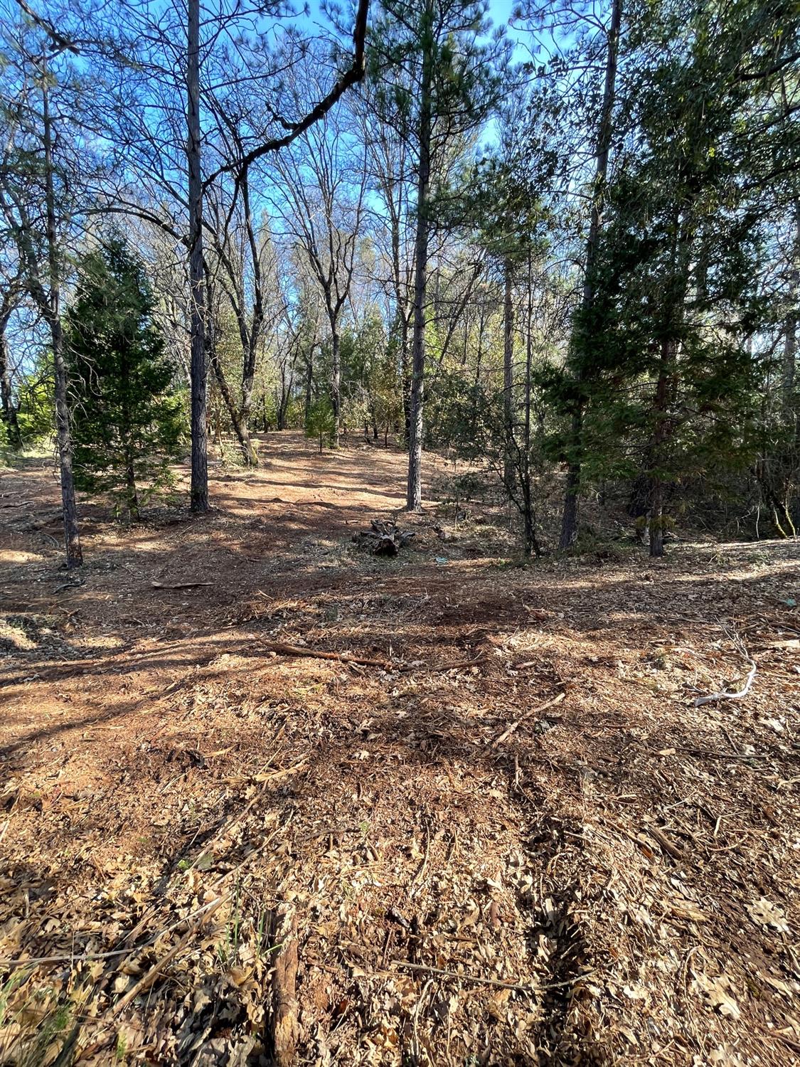 7540 Georgetown Road