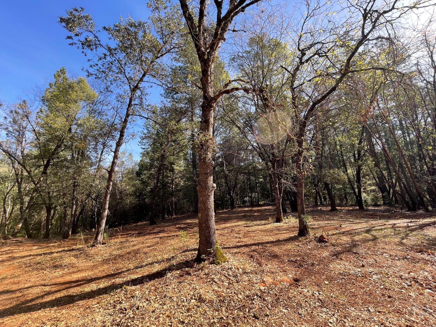 7540 Georgetown Road