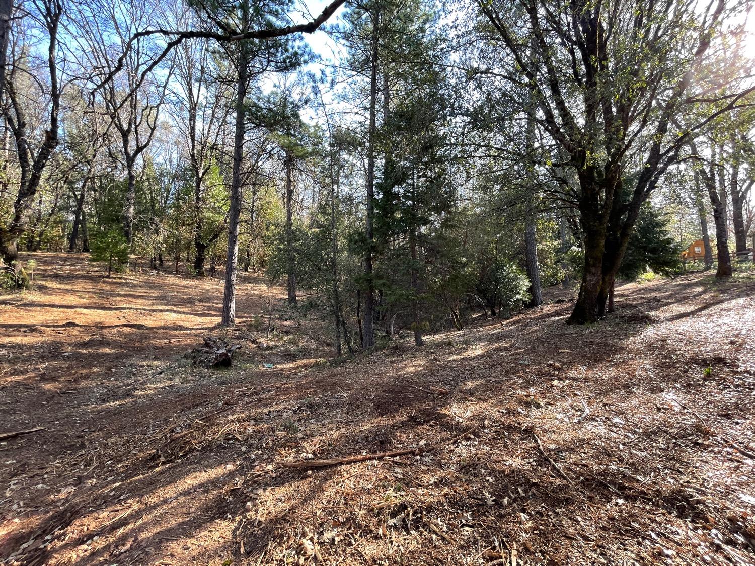 7540 Georgetown Road