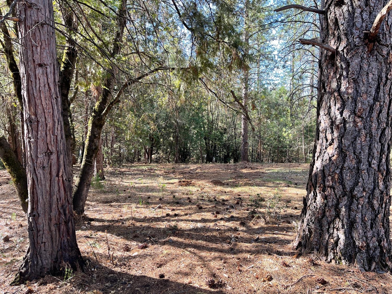 7540 Georgetown Road