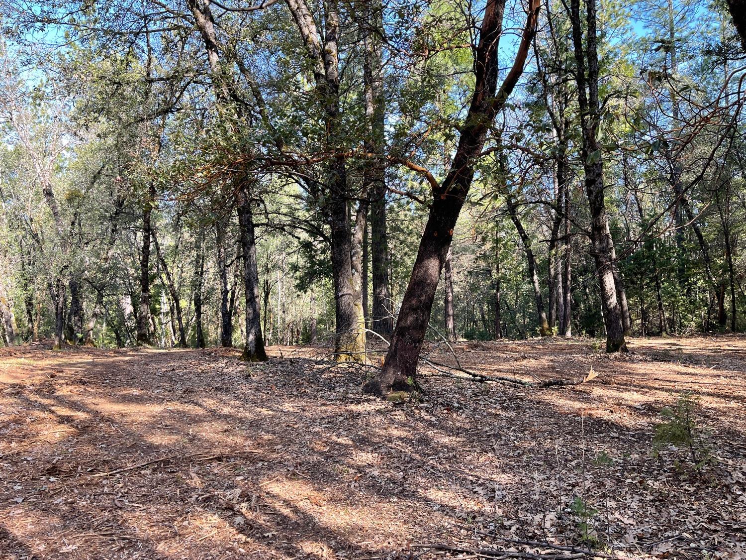 7540 Georgetown Road