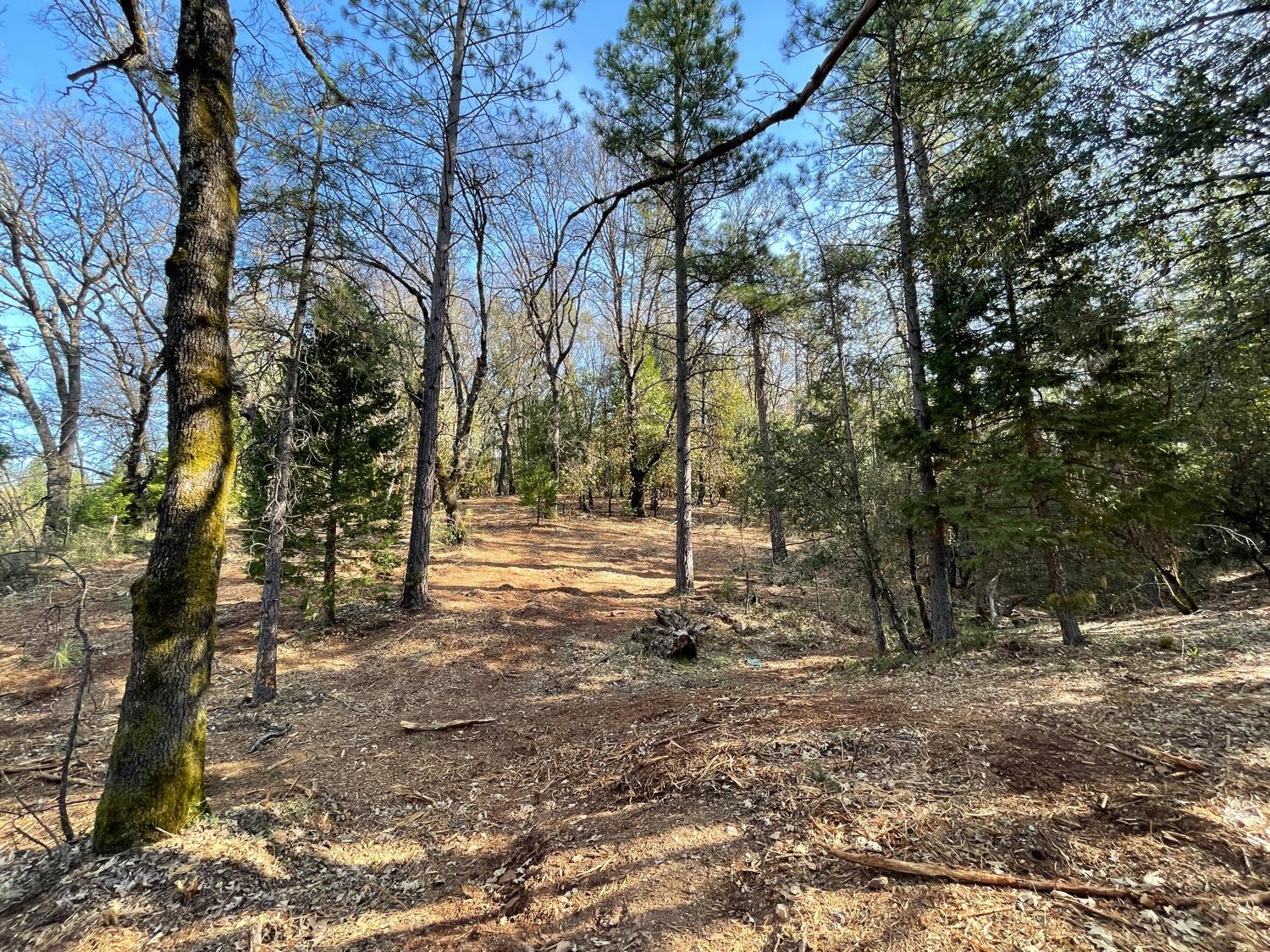 7540 Georgetown Road