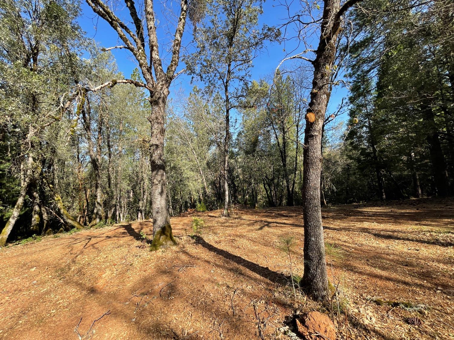 7540 Georgetown Road