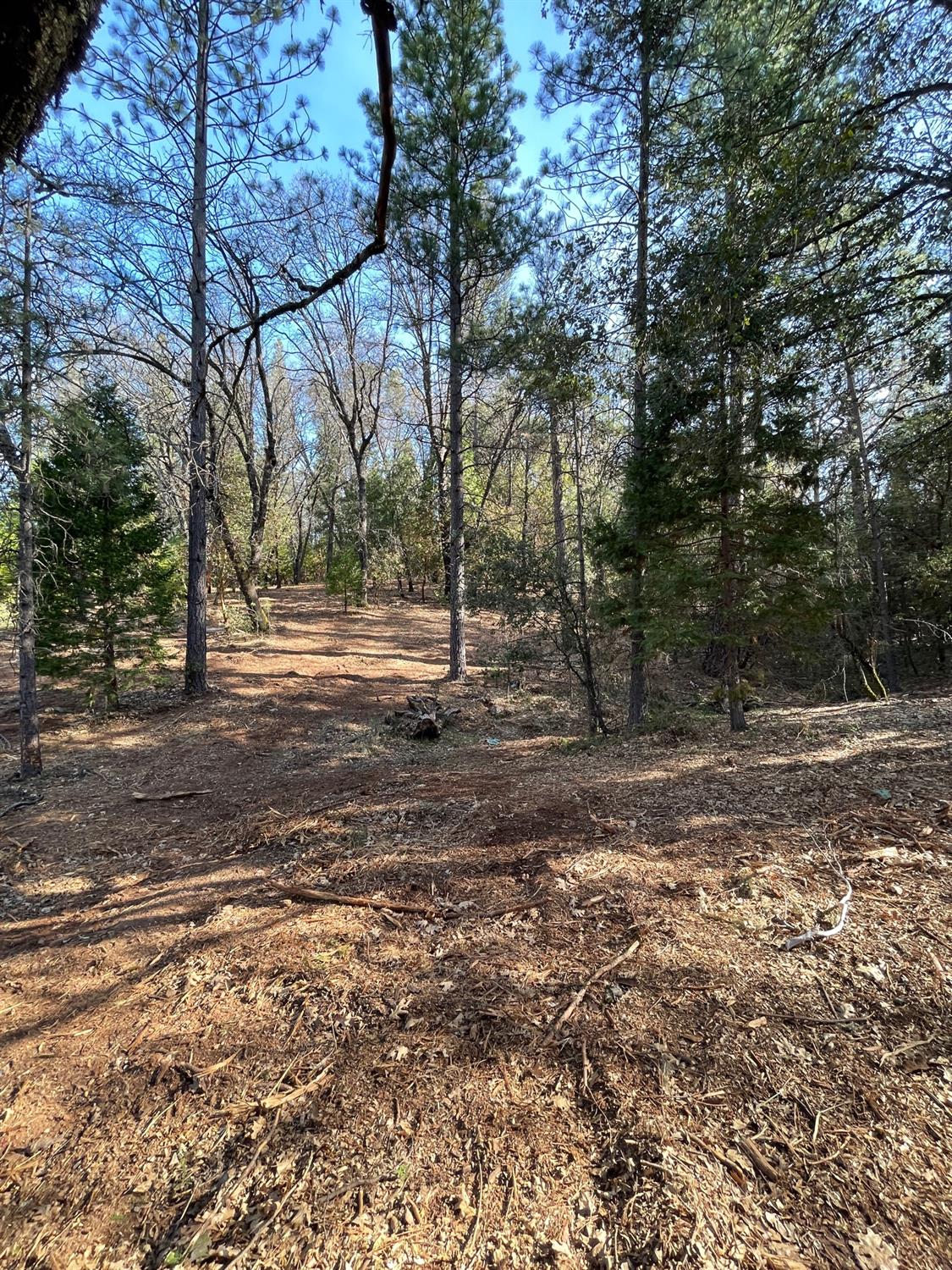 7540 Georgetown Road