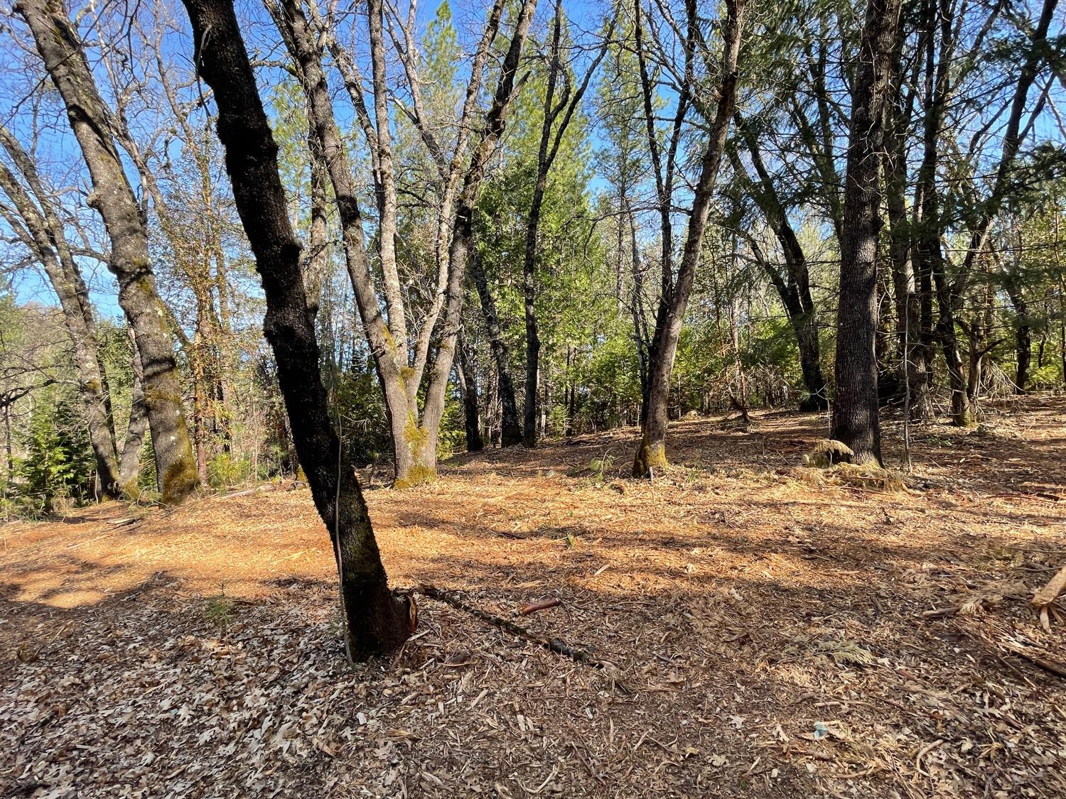 7540 Georgetown Road