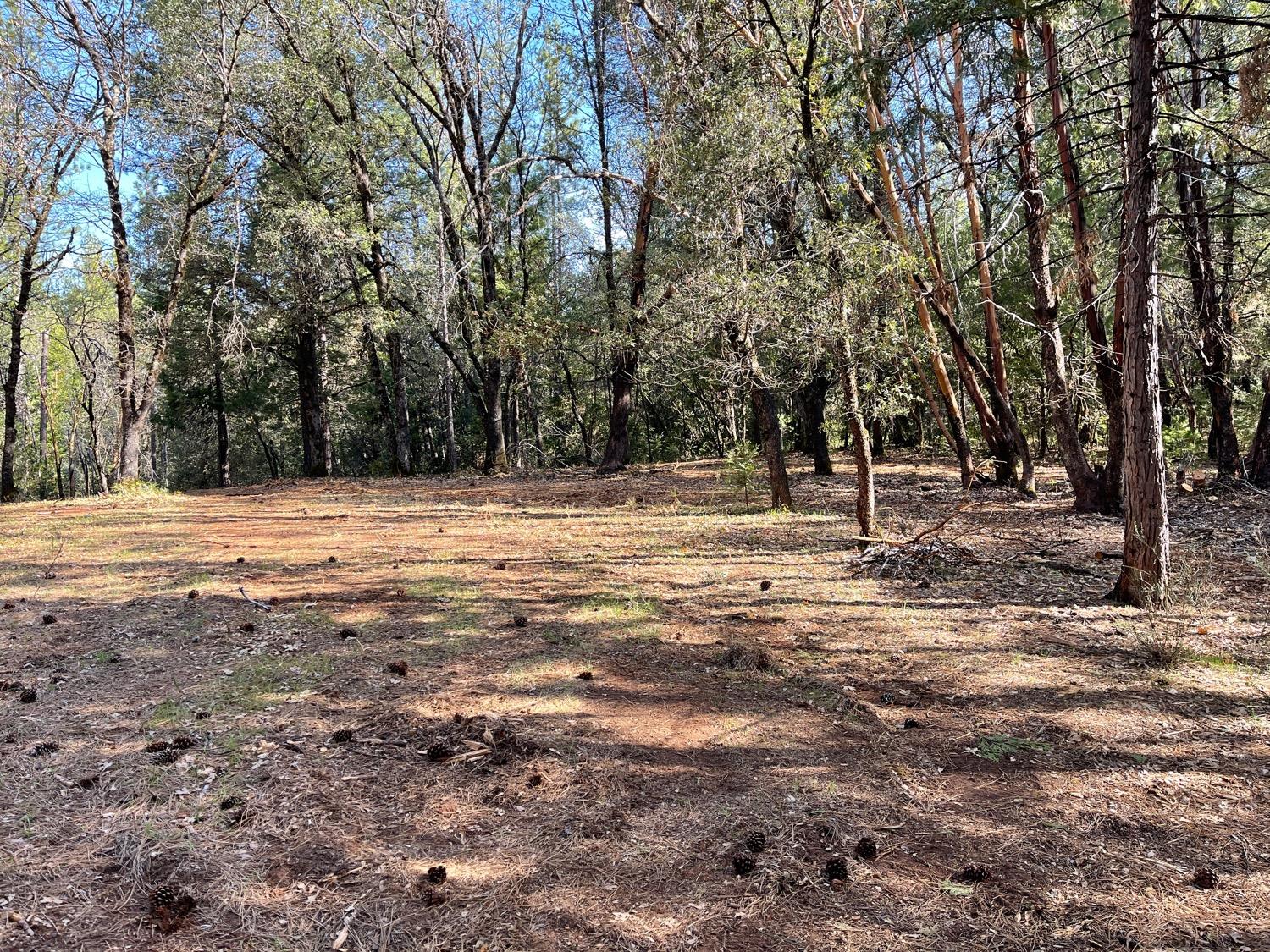 7540 Georgetown Road