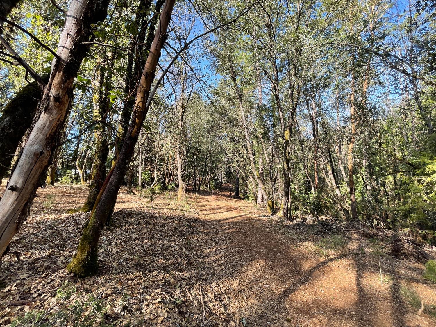 7540 Georgetown Road