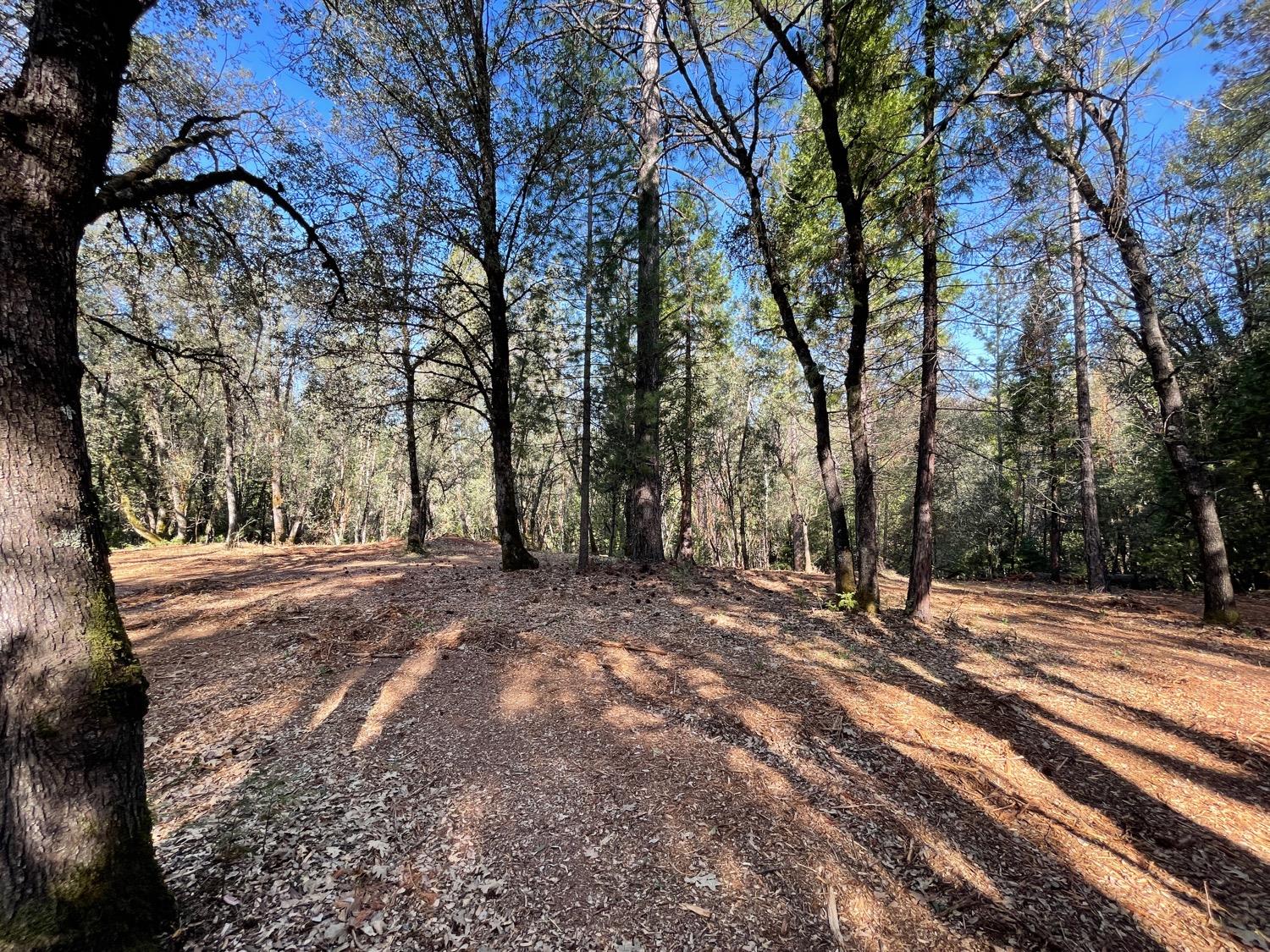 7540 Georgetown Road