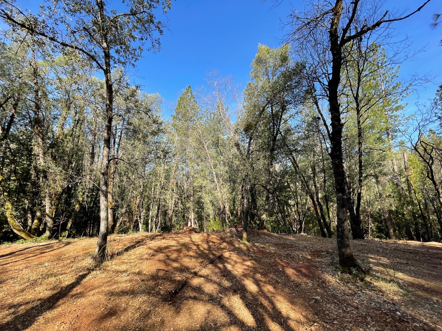 7540 Georgetown Road