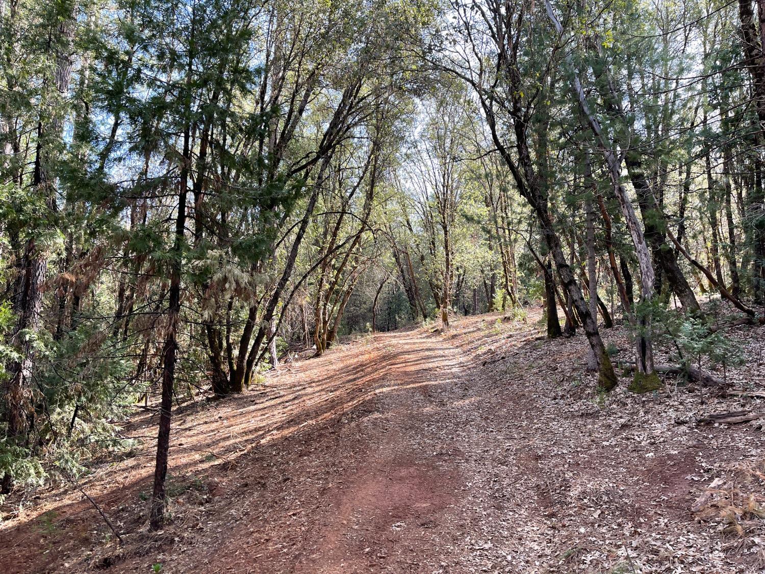 7540 Georgetown Road