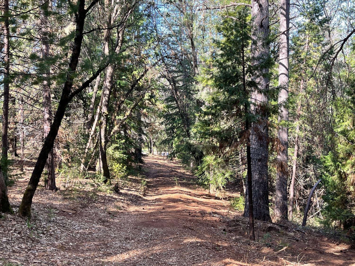 7540 Georgetown Road