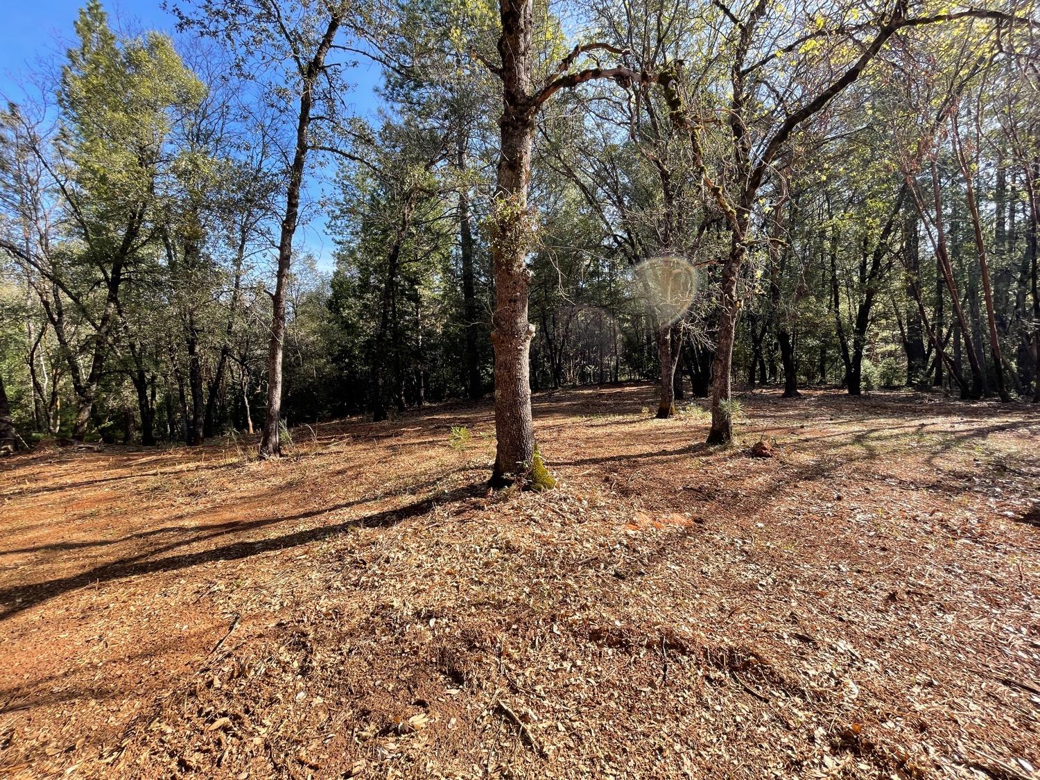 7540 Georgetown Road