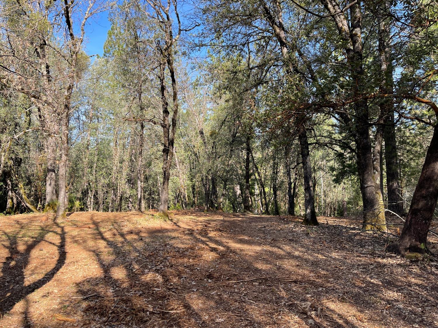 7540 Georgetown Road