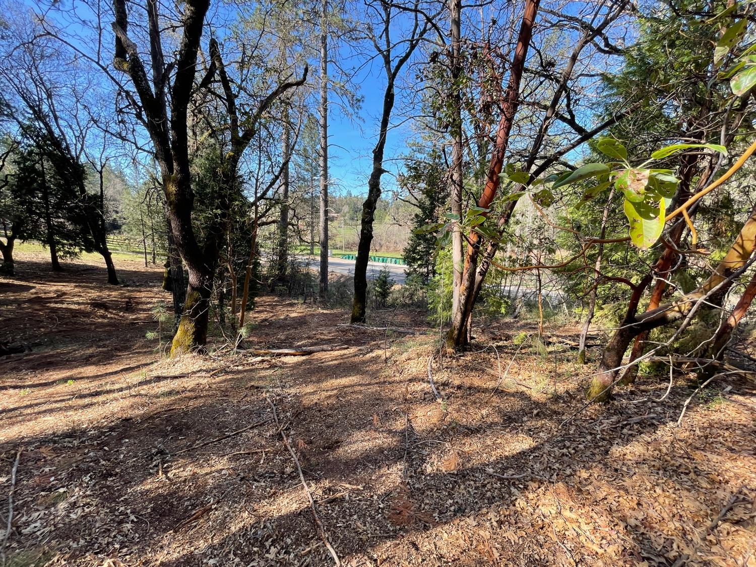 7540 Georgetown Road