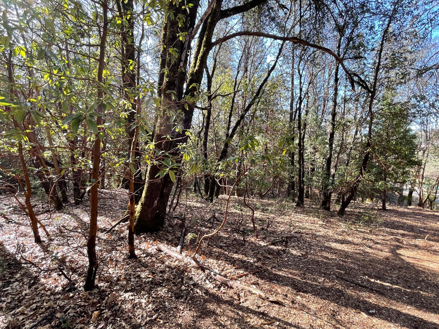 7540 Georgetown Road