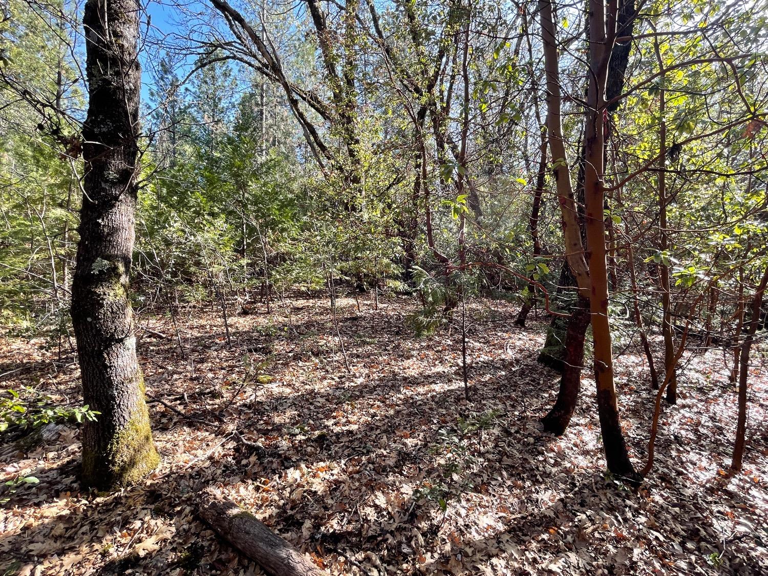 7540 Georgetown Road