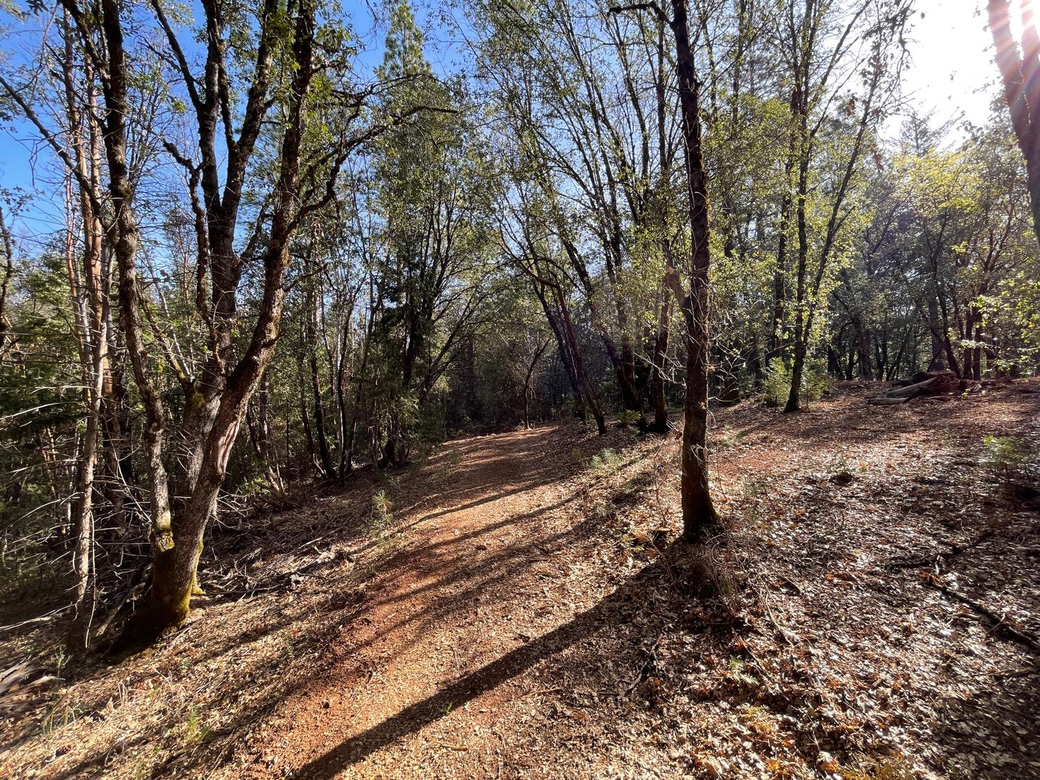 7540 Georgetown Road