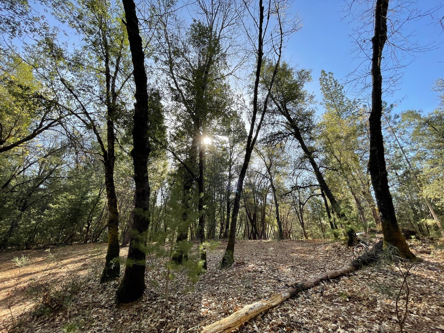 7540 Georgetown Road