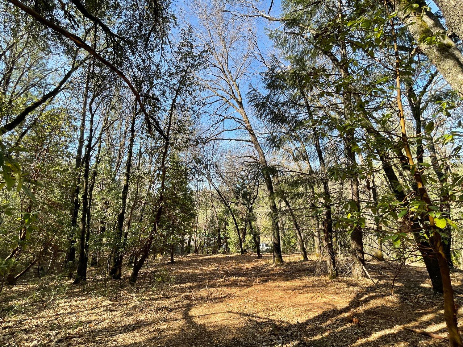 7540 Georgetown Road