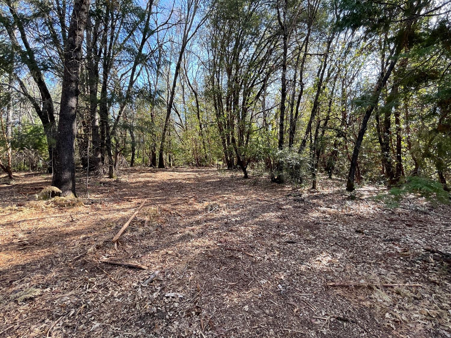 7540 Georgetown Road